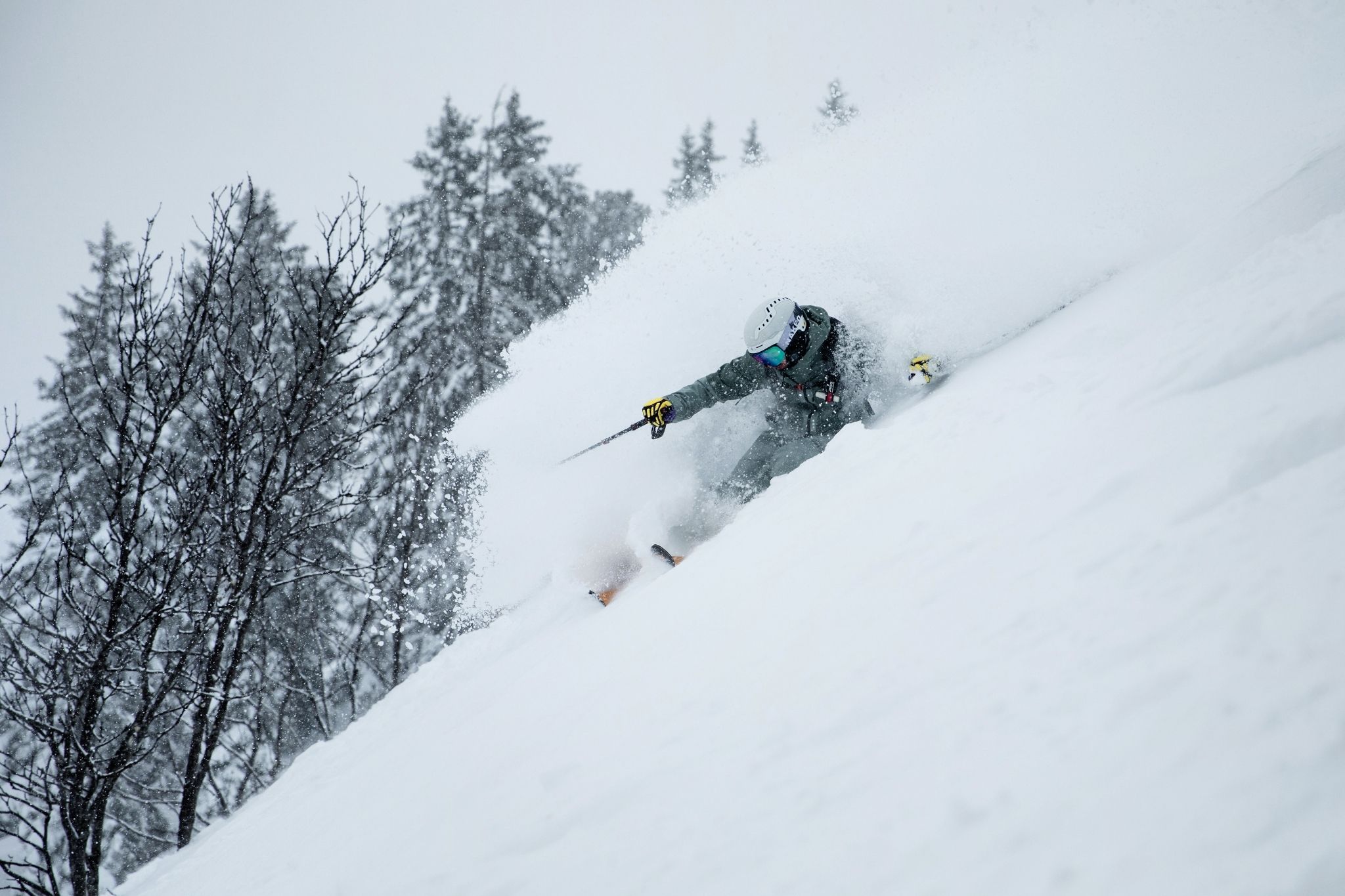 Skioholic skiing in backcountry powder